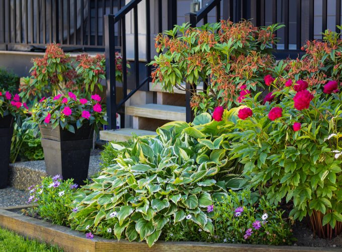 Farewell to Front Yards in Bloom